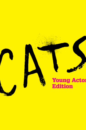 CATS  Hampton Hill September